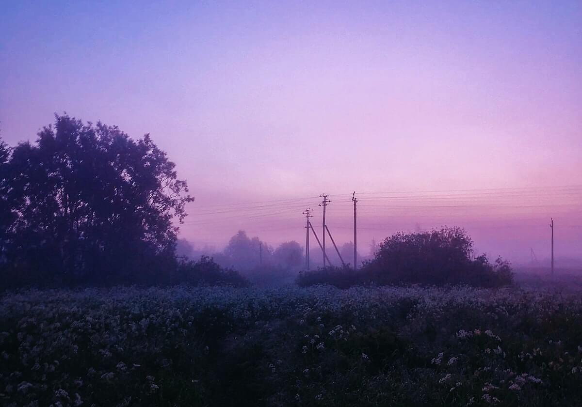 星河彼端的泡芙短视频破解版