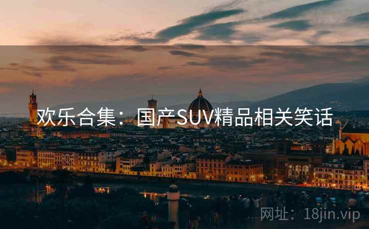 欢乐合集：国产SUV精品相关笑话