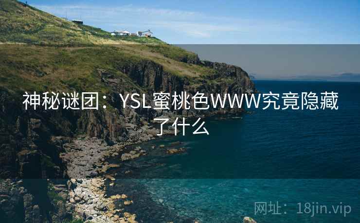 神秘谜团：YSL蜜桃色WWW究竟隐藏了什么