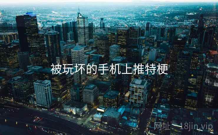 被玩坏的手机上推特梗