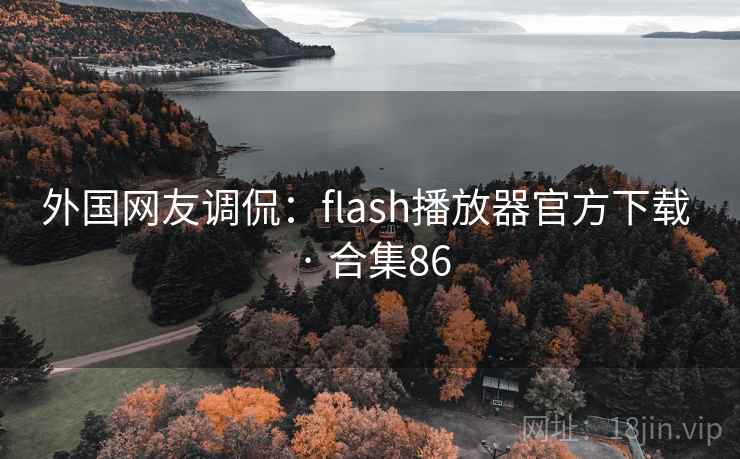 外国网友调侃:flash播放器官方下载 · 合集86