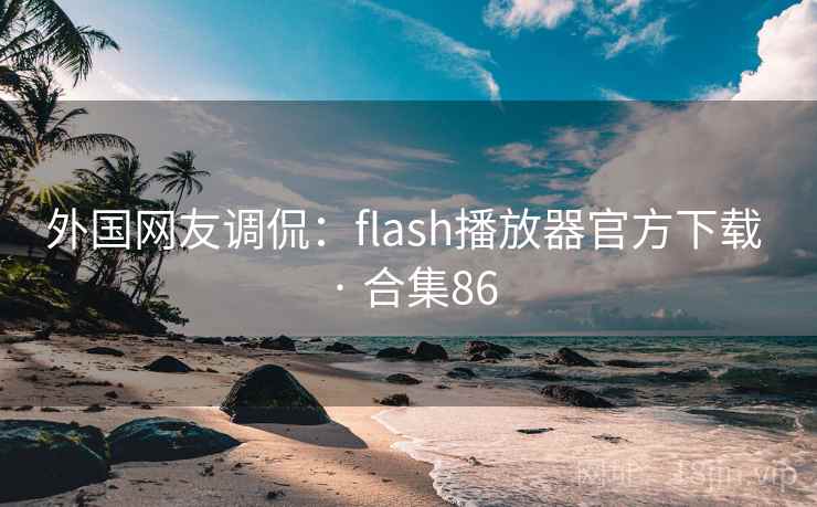 外国网友调侃：flash播放器官方下载 · 合集86