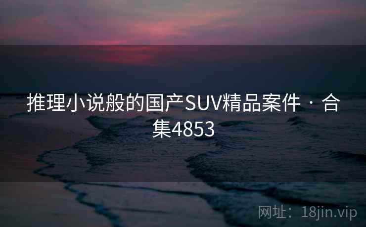 推理小说般的国产SUV精品案件 · 合集4853